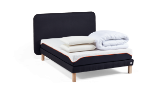 Ensemble Morphoplus+