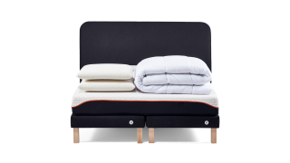 Ensemble Morphoplus+