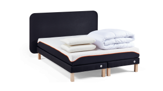 Ensemble Morphoplus+