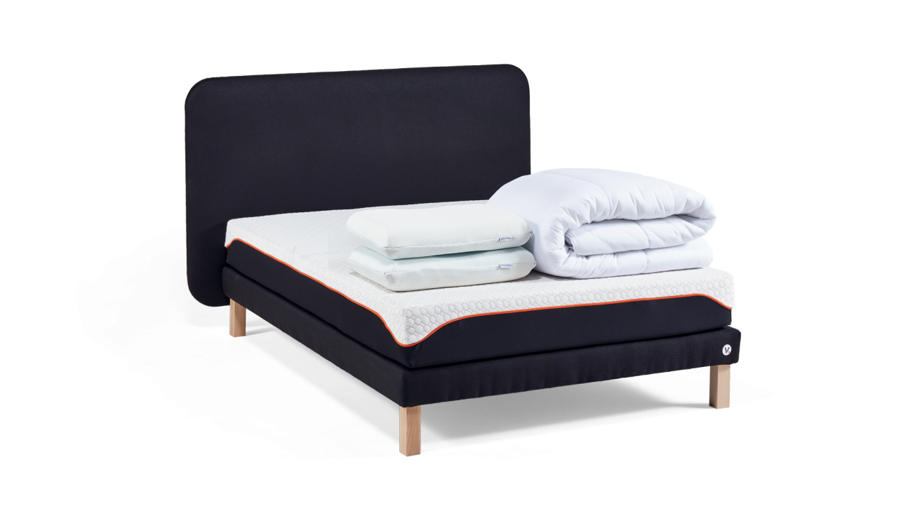 Ensemble Morphoplus+